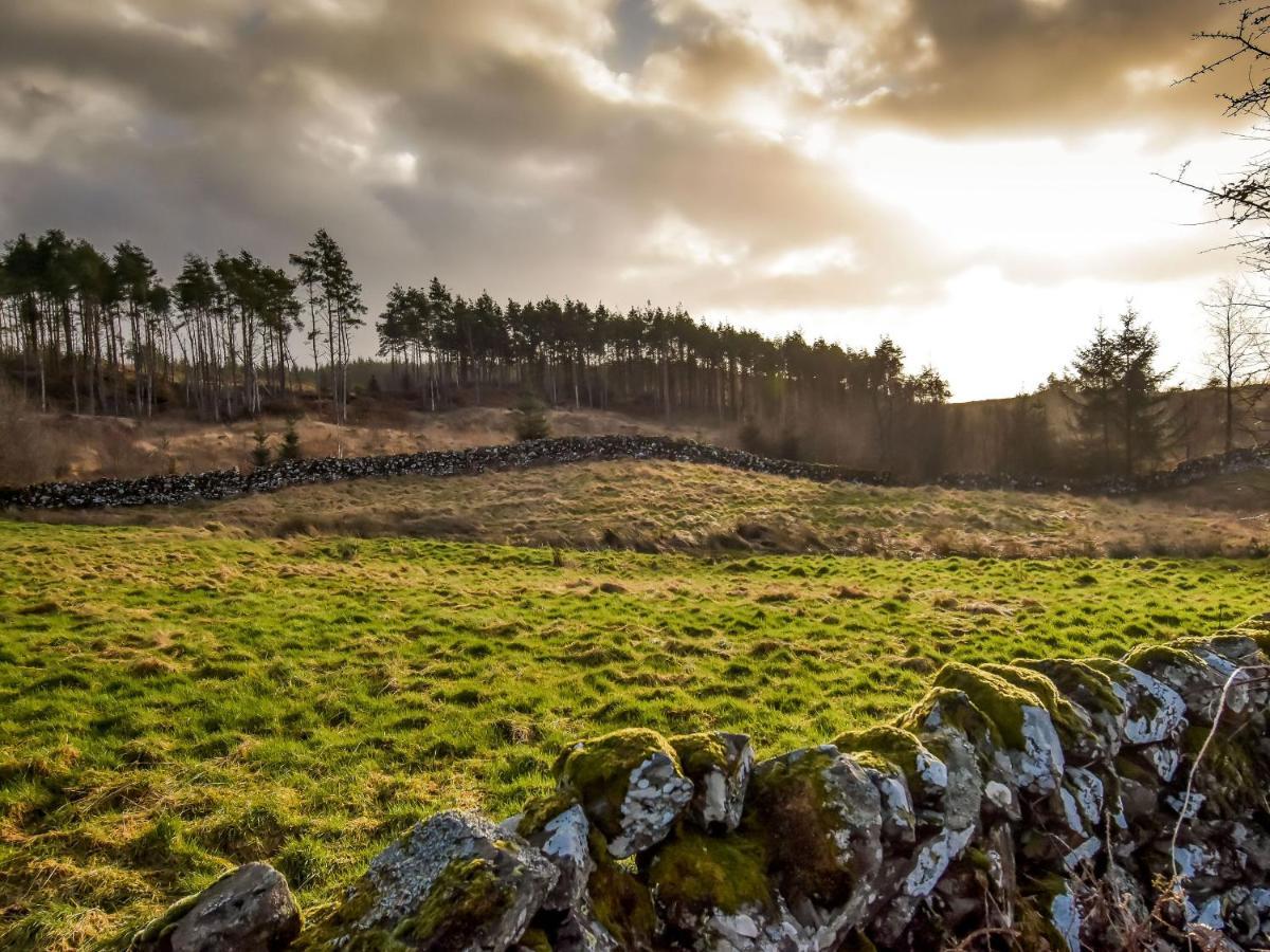 Borgan Cottage Newton Stewart Buitenkant foto
